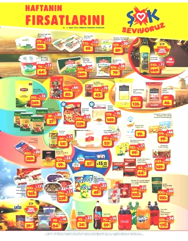 Gözle görülmeyen kirlere elveda: ŞOK’a 25 Mart Çarşamba Buharlı Temizleyici geliyor! - Sayfa 5